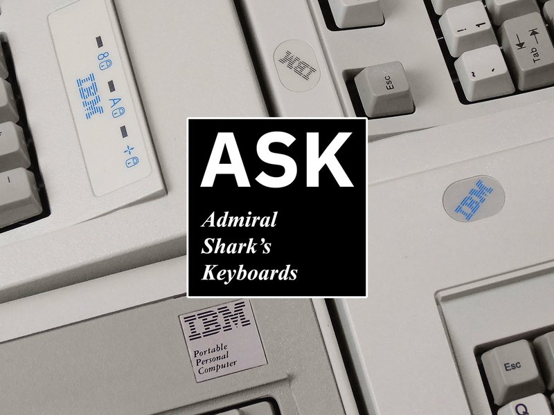 Best admiral shark reviews in United Kingdom