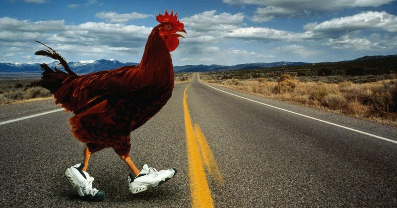 Descubre el Misterio de la Calle del Pollo en la Mejor Versión en España, juego chicken road