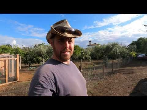 Descubra o Exclusivo Joguinho de Azar: Chicken Road em Casinos Portugueses - overview