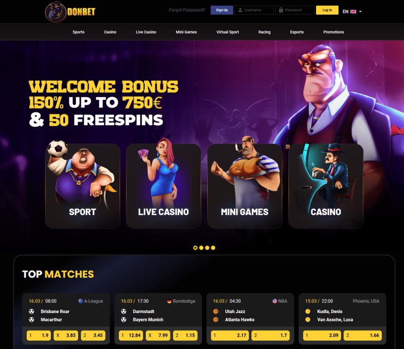Learn about donbet casino login